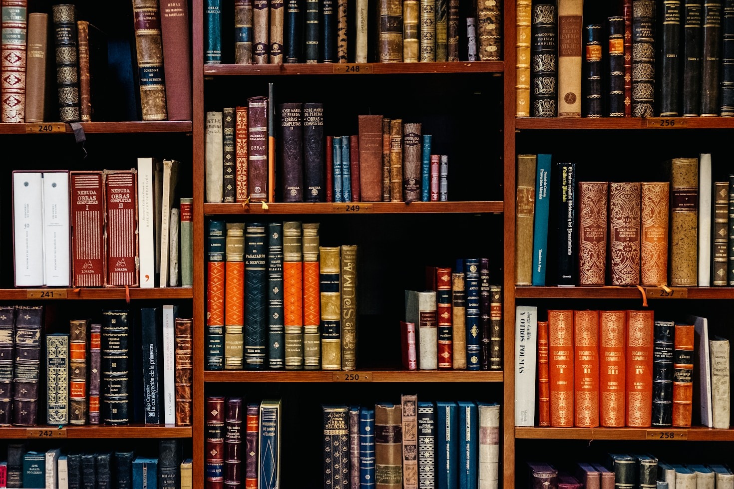 How Policy Pipeline Strengthens Academic-Policy Connections